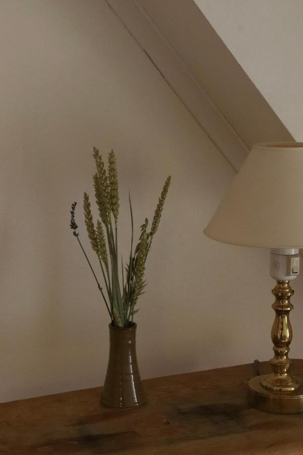 Turistgarden Saerna Bed & Breakfast Luaran gambar